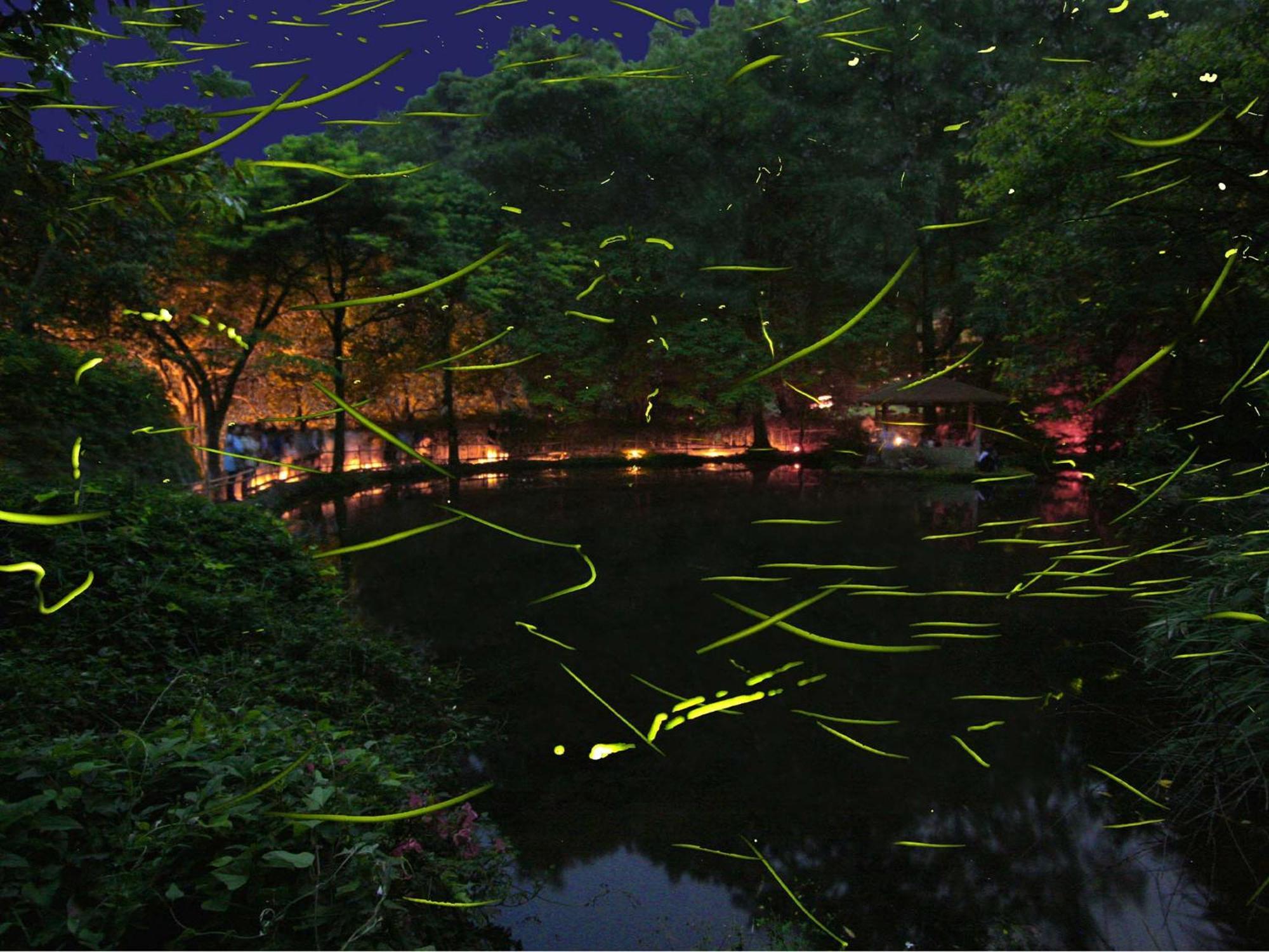 Izu Katase Onsen Ayumitei Fukumatsuso Hotel Higashiizu Ngoại thất bức ảnh